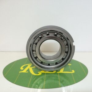 Main shaft bearing