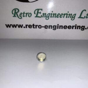 Selector shaft detent spring blanking plug